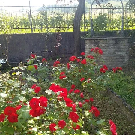 Ferienhaus Mitten Im Grunen Gelegenes Ferienhaus Mit Privatem Garten